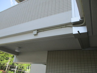 IMG_6337.JPGのサムネール画像