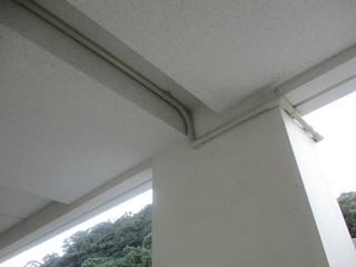 IMG_6339.JPGのサムネール画像