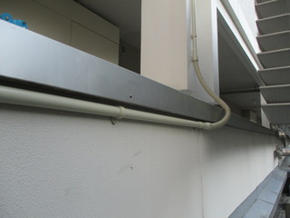 IMG_6340.JPGのサムネール画像