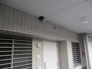 IMG_6377.JPGのサムネール画像