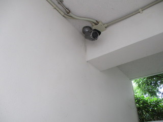 IMG_6380.JPGのサムネール画像