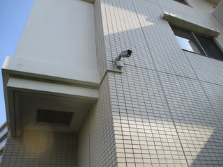 IMG_6381.JPGのサムネール画像