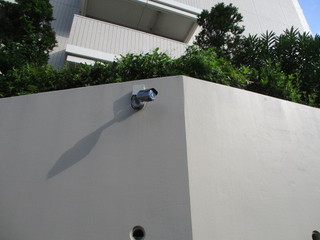 IMG_6388.JPGのサムネール画像