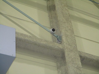 IMG_6686.JPGのサムネール画像