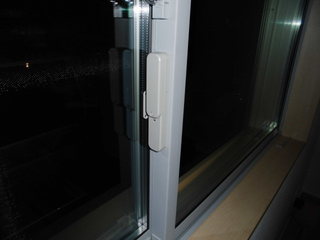 CIMG30781108.JPG