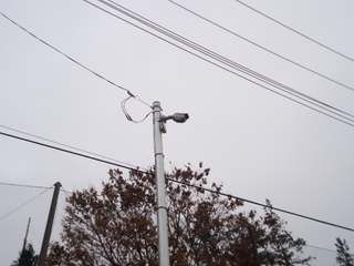 DSC037631211.JPG