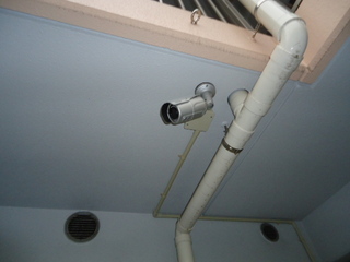 DSC037670107.JPG