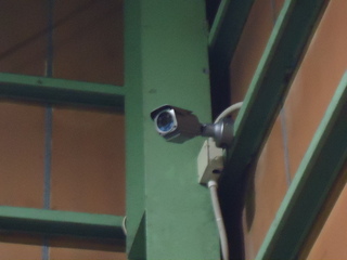 DSC077270115.JPG