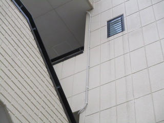 IMG_6993.JPG
