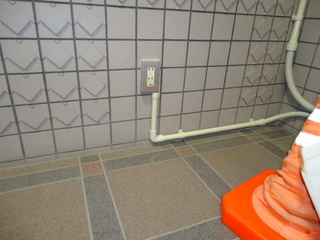 DSC077520203.JPG