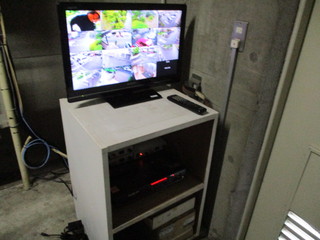 IMG_00491.JPG