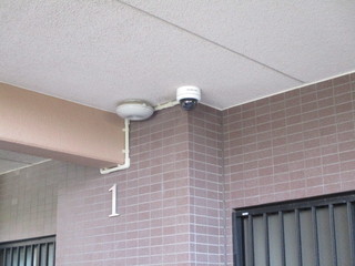 IMG_7543q.JPGのサムネール画像