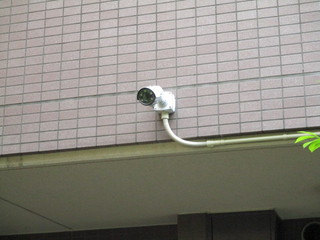IMG_7548q.JPGのサムネール画像
