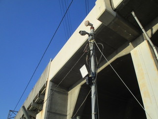 IMG_7701q.JPGのサムネール画像