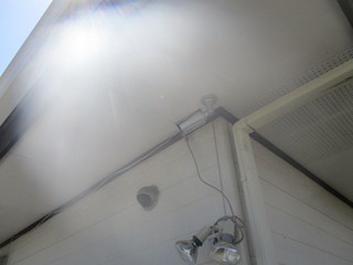 IMG_7861q.JPG