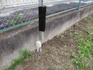 IMG_7915q.JPG