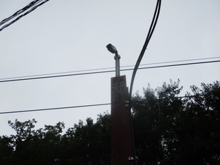 IMG_7963q.JPG