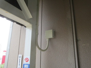 IMG_8044q.JPG