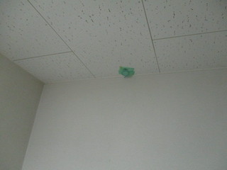 IMG_8079q.JPG