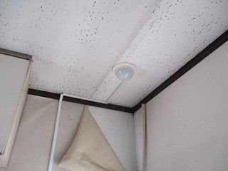 IMG_8090q.JPGのサムネール画像