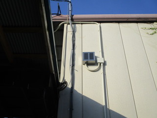 IMG_8093q.JPGのサムネール画像