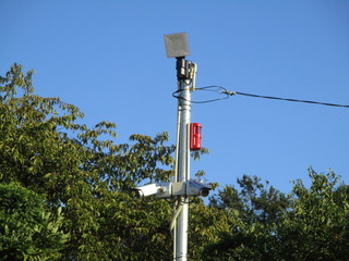 IMG_8097q.JPG