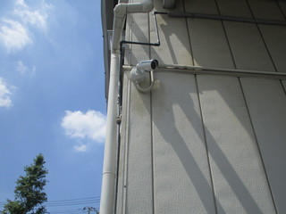 IMG_8104q.JPG