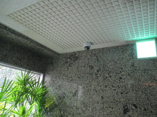 IMG_8143q.JPG