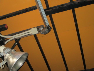 IMG_8150q.JPG