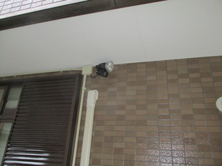 IMG_8158q.JPG