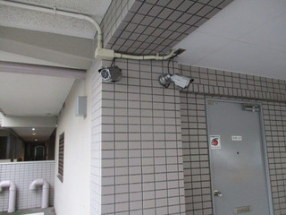 IMG_8162q.JPG