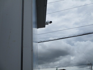 IMG_8200q.JPG