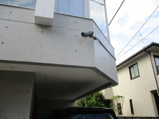 IMG_8215q.JPG