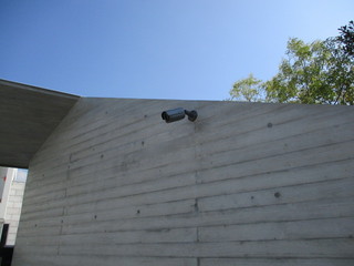 IMG_01745.JPG