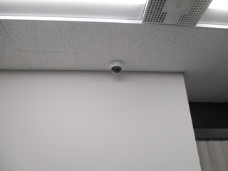 IMG_8259q.JPG