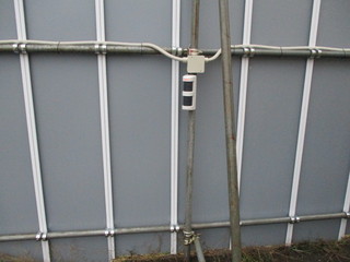 IMG_8301q.JPG