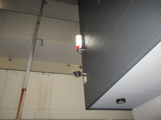 IMG_8323q.JPG