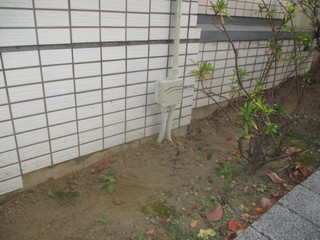 IMG_8418q.JPG