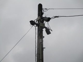 IMG_8495q.JPG