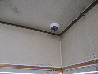 IMG_8536q.JPG