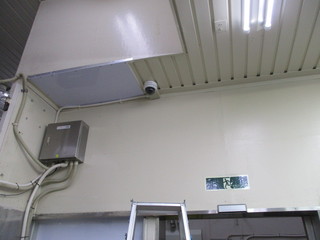 IMG_3116q.JPG