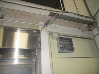 IMG_3118q.JPG