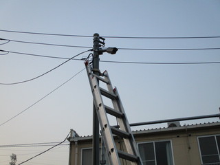 IMG_3251q.JPG