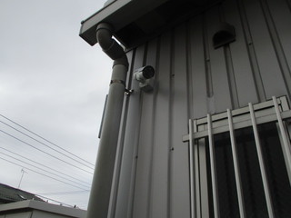 IMG_8695q.JPG