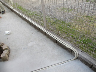 IMG_13715.JPG
