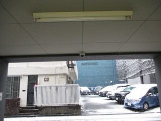 IMG_08892.jpg