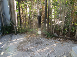 IMG_3830q.jpg