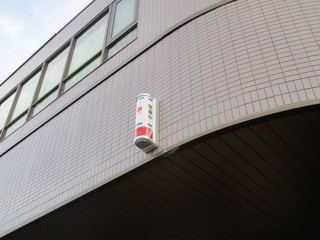 IMG_3866q.jpg