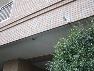 IMG_0555q.jpg