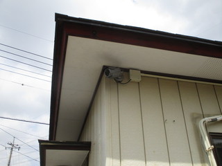 IMG_0580q.jpg